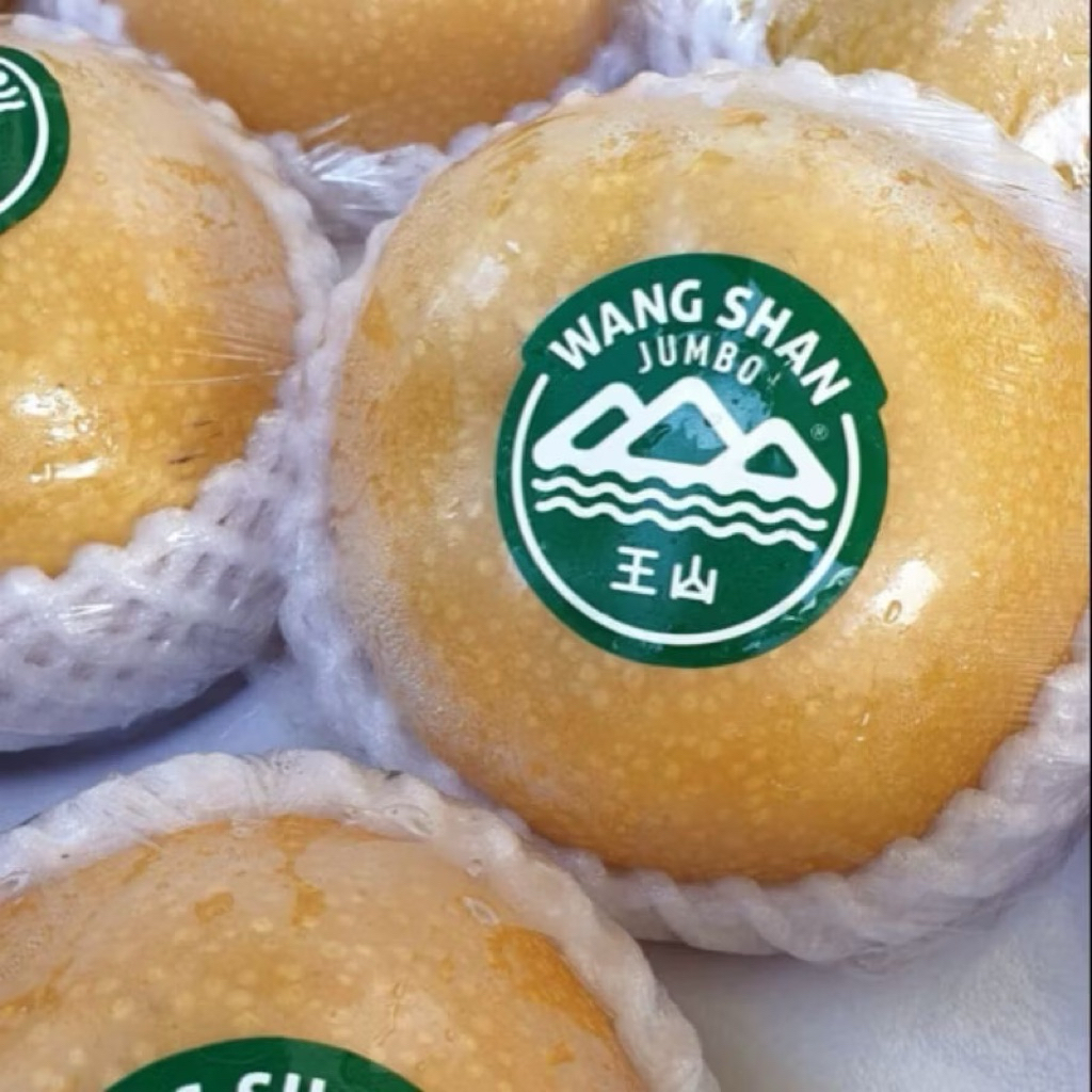 

Singo Wang Shan Jumbo 1,2kg / Buah Pear Korea Singo Wang Shan Super Fresh