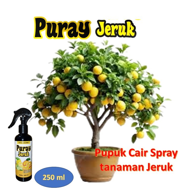Pupuk jeruk / pupuk jeruk cepat berbuah / pupuk jeruk nipis / booster jeruk cepat berbuah
