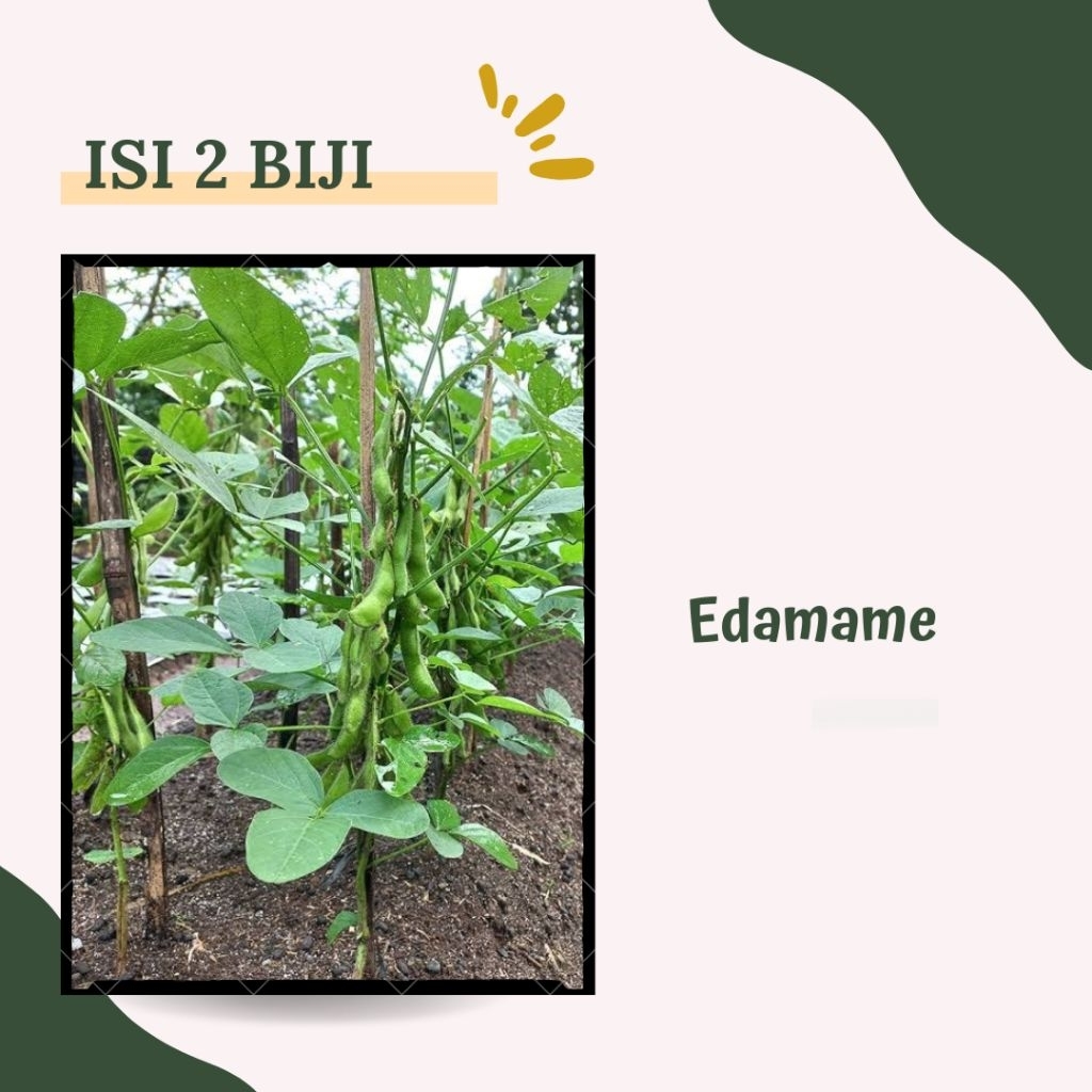 BENIH EDAMAME