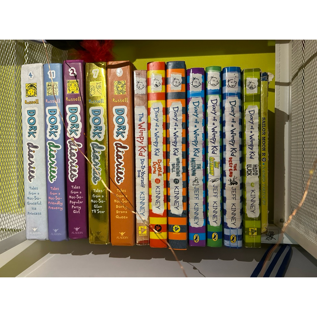 Diary Of a Wimpy Kid & Dork Diaries Preloved