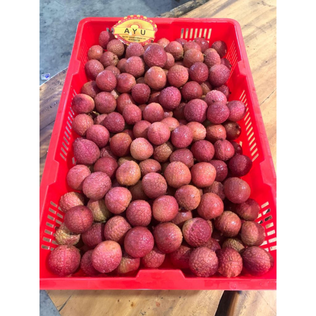 

Leci Pink 1kg
