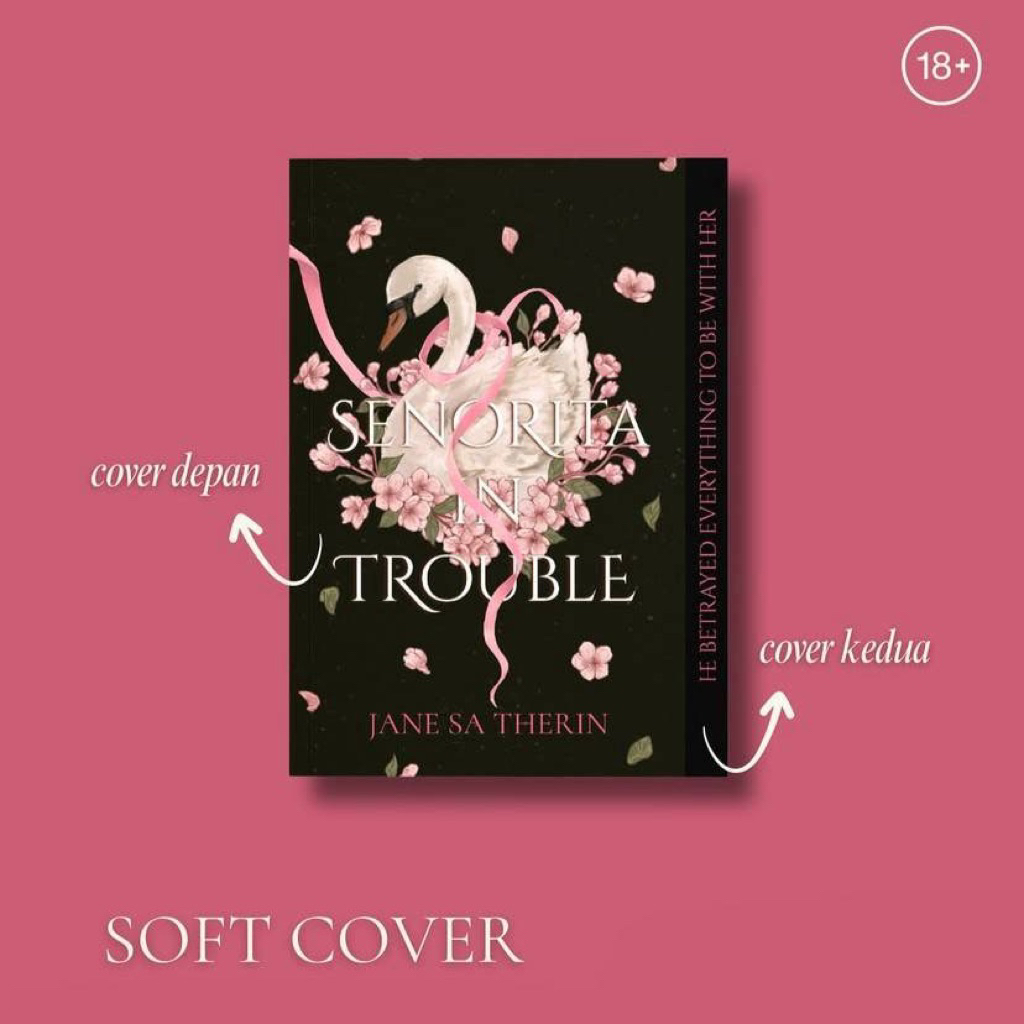 SENORITA IN TROUBLE — NOVEL SENORITA IN TROUBLE SOFT COVER / NOVEL SIT