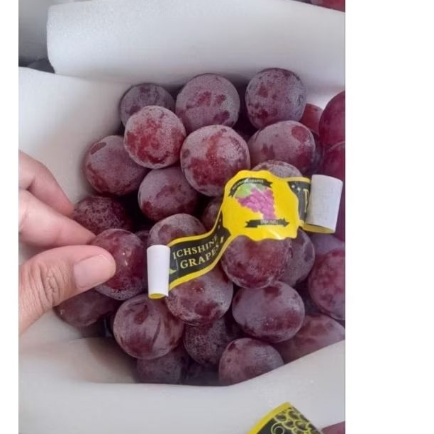 

Anggur RED GLOBE manis seger perkilo