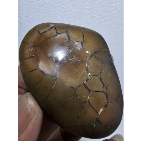 Batu Sisik Naga Enrekang Medium