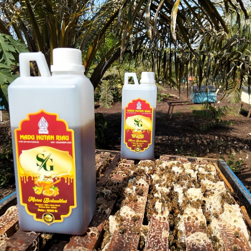 

Madu Hutan asli 100% Murni Alami, Tanpa Campuran (kemasan 1kg)