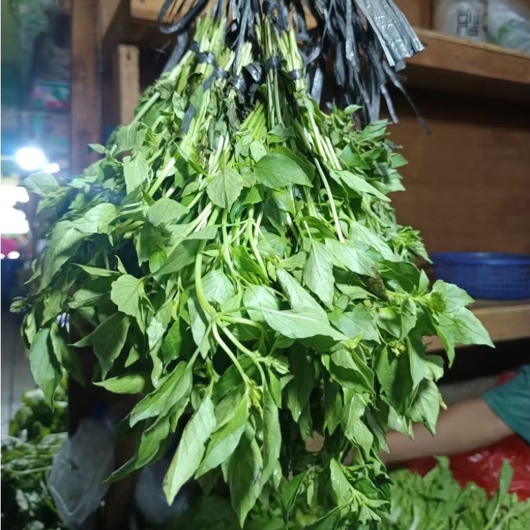 

Daun Kemangi - 3 ikat