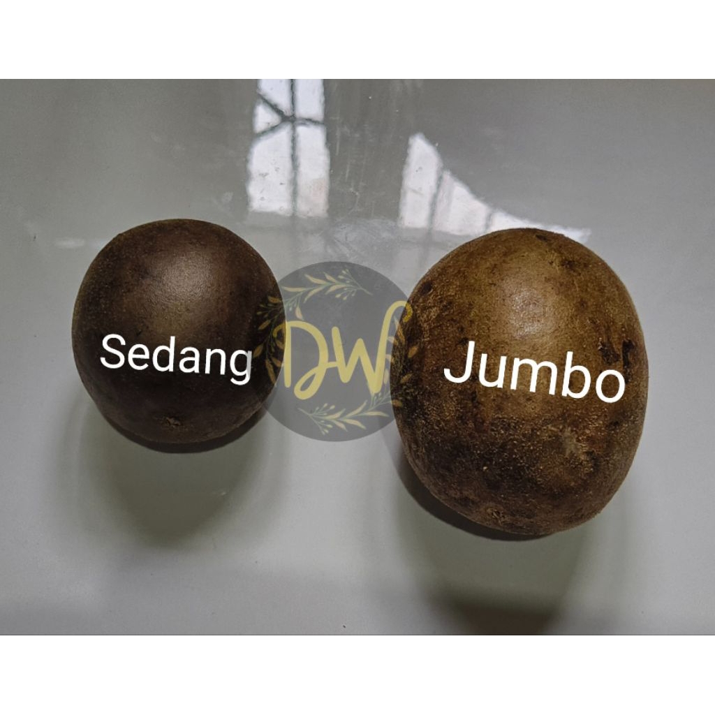 

DW Lo Han Kuo / Monk Fruit ukuran Sedan dan Jumbo