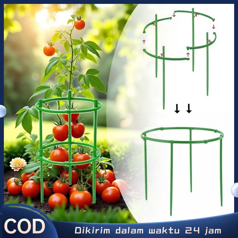 Penyangga Tanaman Rambat Penyanggah Tanaman Ajir Tanaman Penyangga Tanaman Rambat Melingkar
