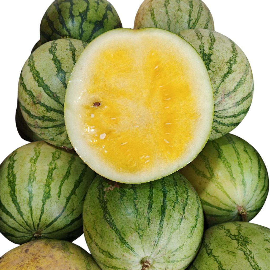 

Semangka Kuning l Semangka Utuh l 1 pcs