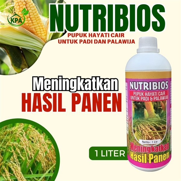 Nutribios-Pupuk Hayati Cair Untuk Meningkatkan Hasil Panen Padi dan Jagung