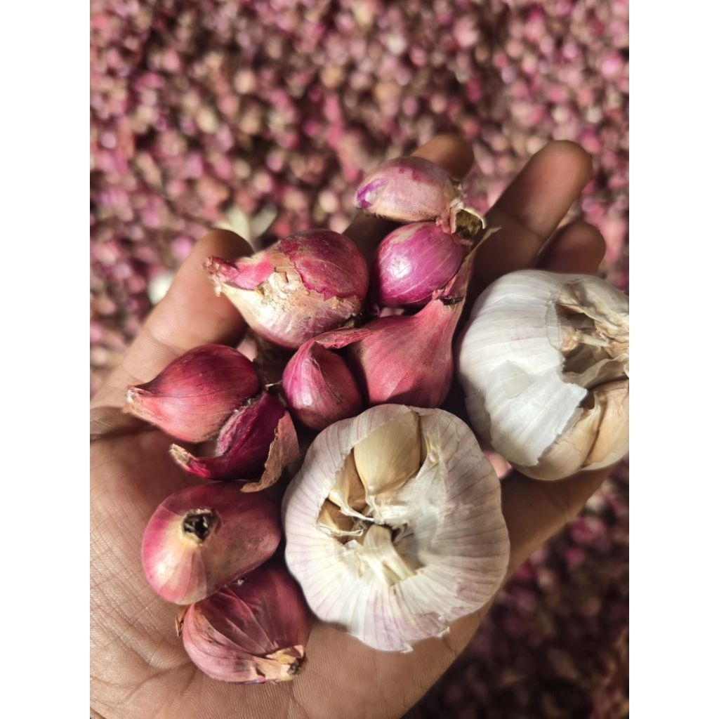

bawang merah + bawang putih (250gr + 250 gr) langsung dari petani