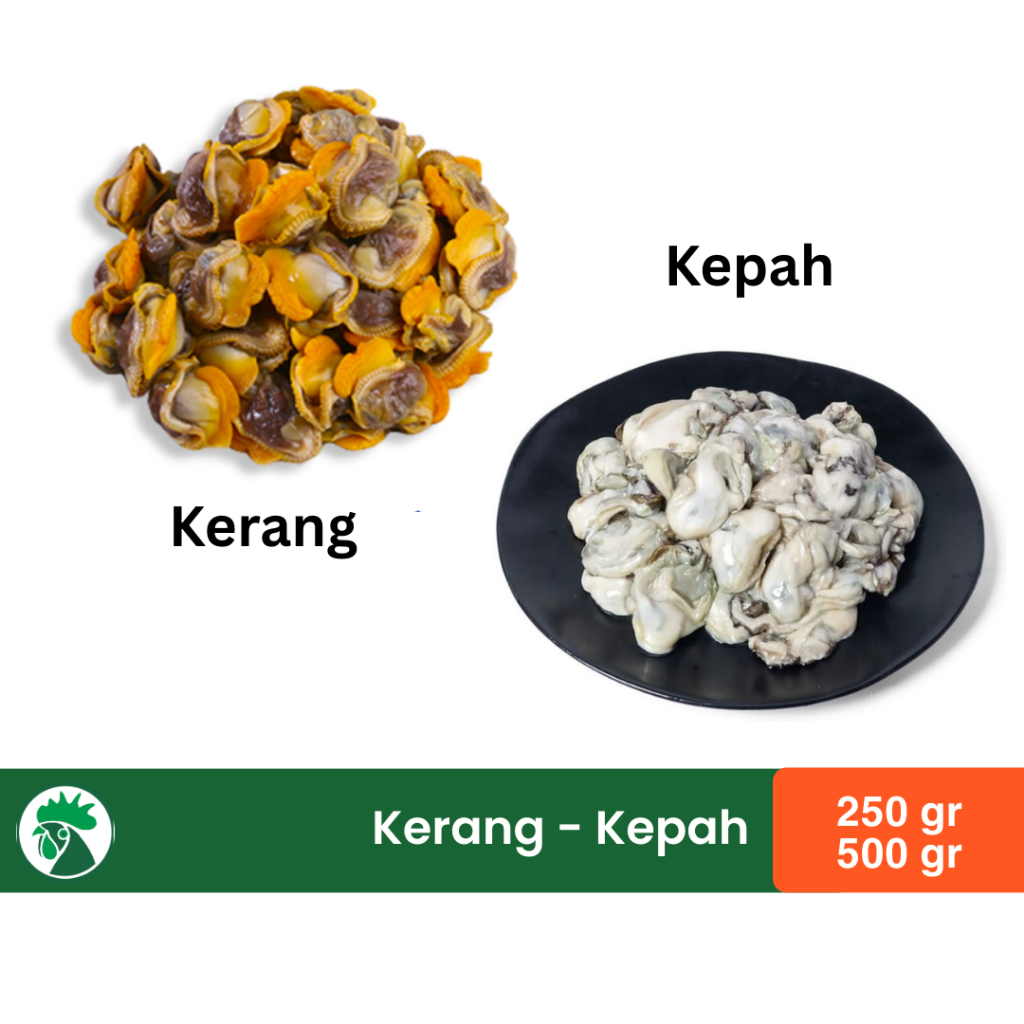 

Kepah - Daging Kerang Kupas Medan