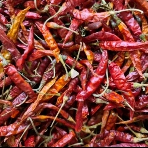 

Cabe rawit merah kering /yoyaharvest