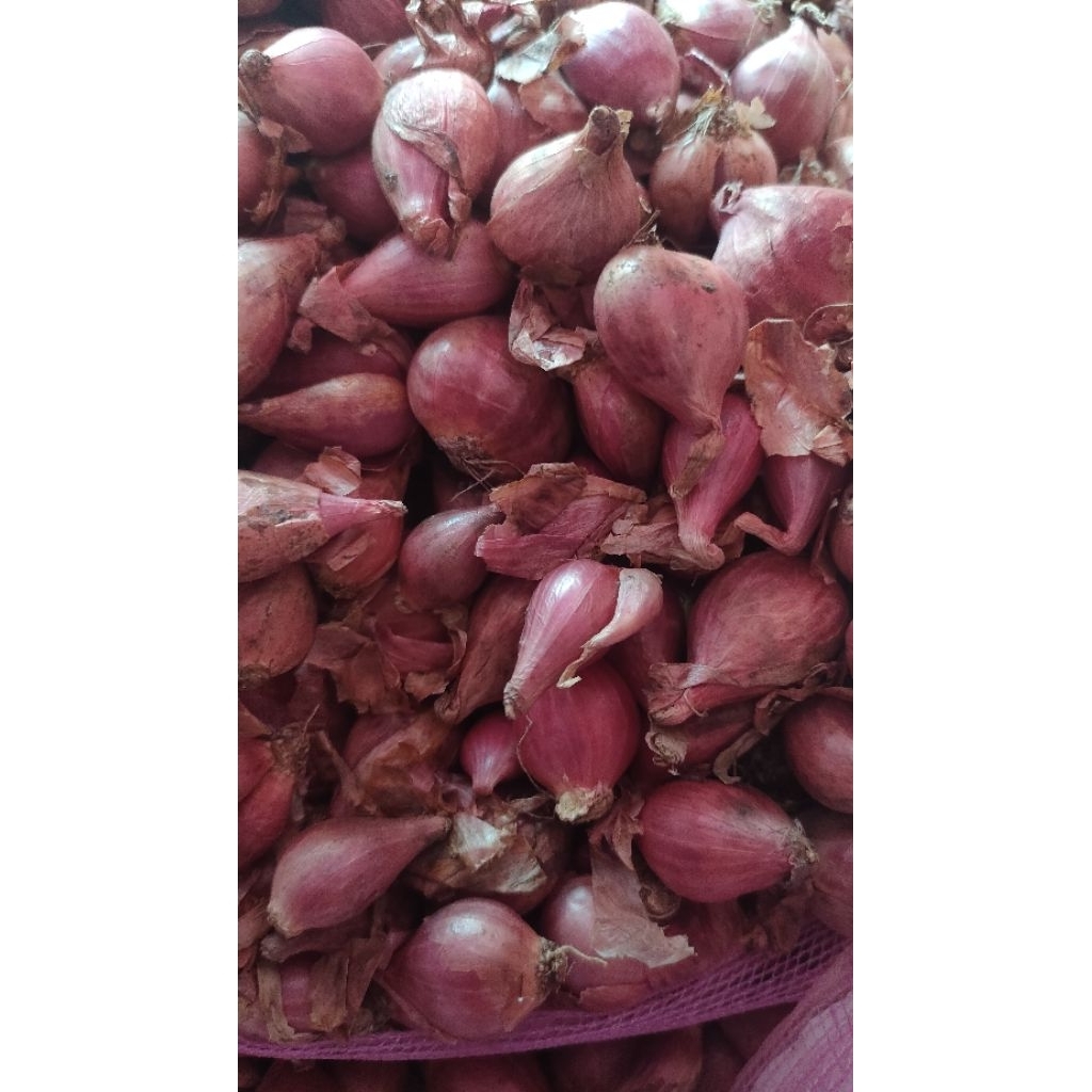 

bawang merah 500 gr
