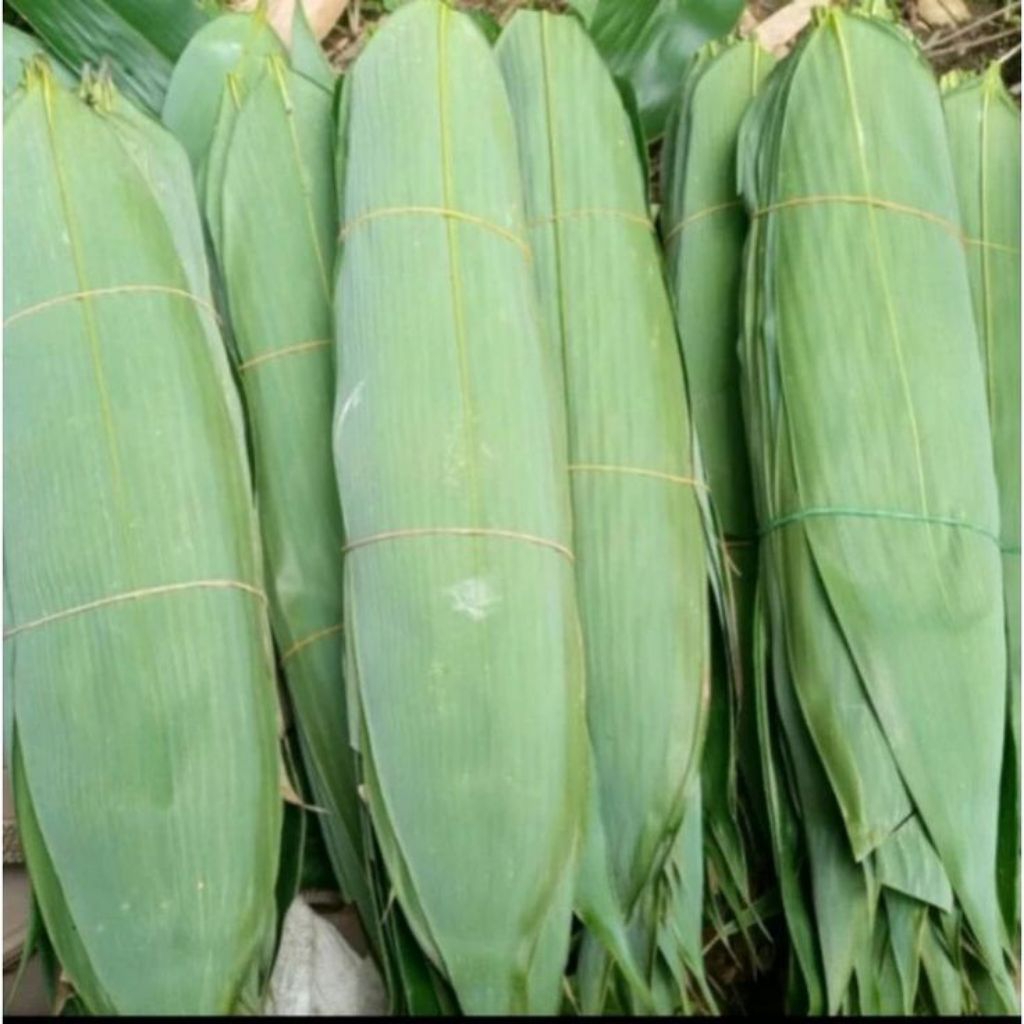 

daun bambu bacang ukuran jumbo murah/100 lembar
