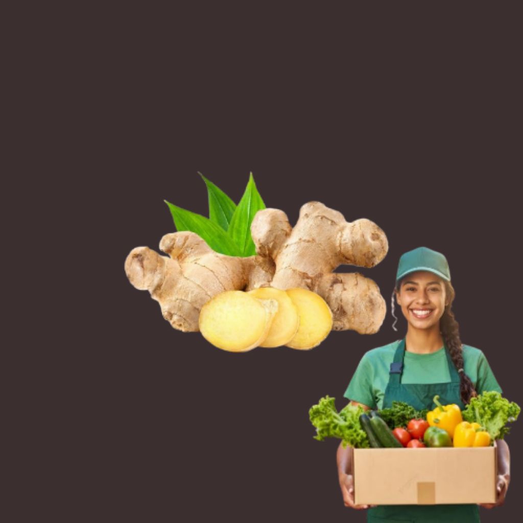 

JAHE PUTIH BUMBU MASAK REMPAH REMPAH