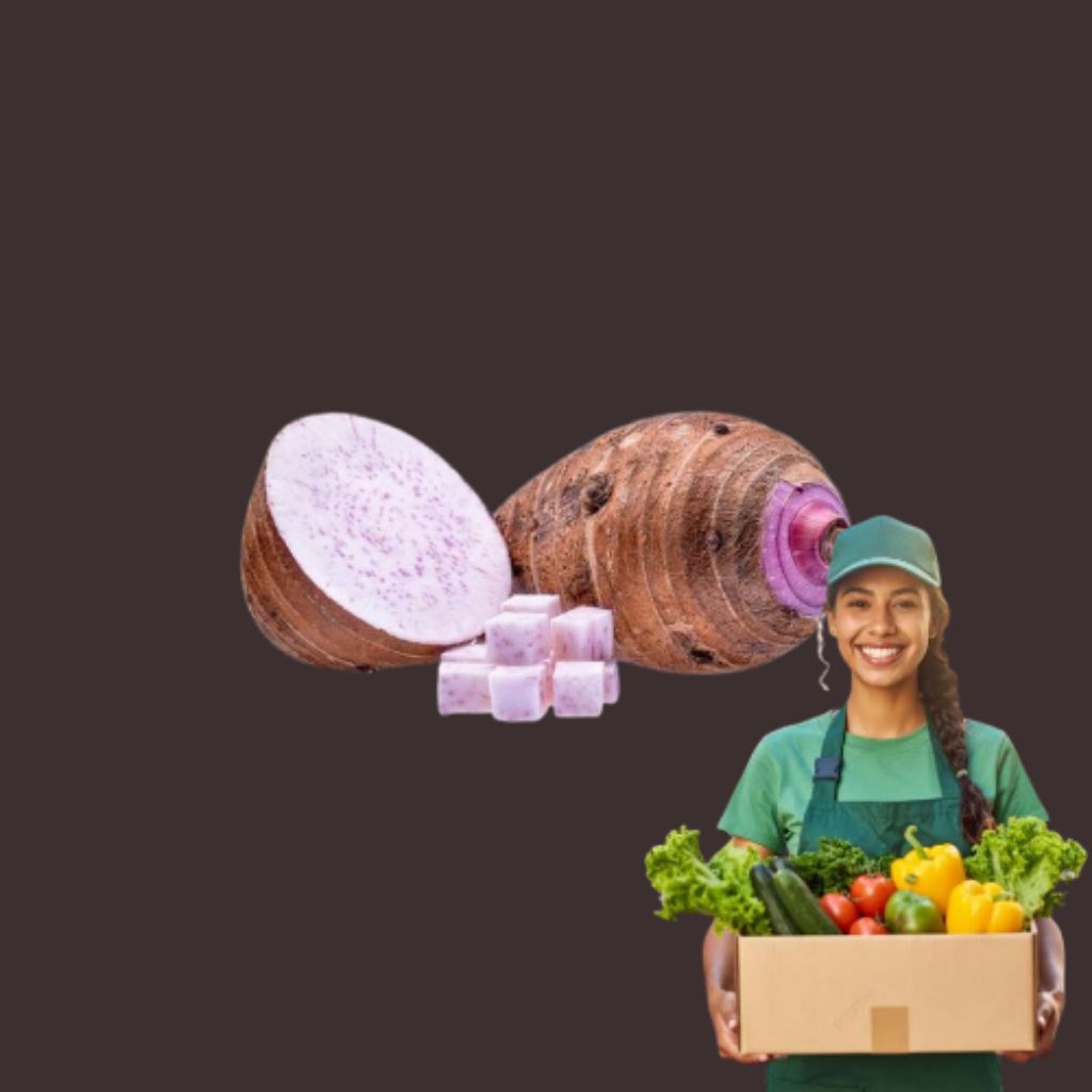 

TALAS UNGU UMBI UMBIAN LOKAL