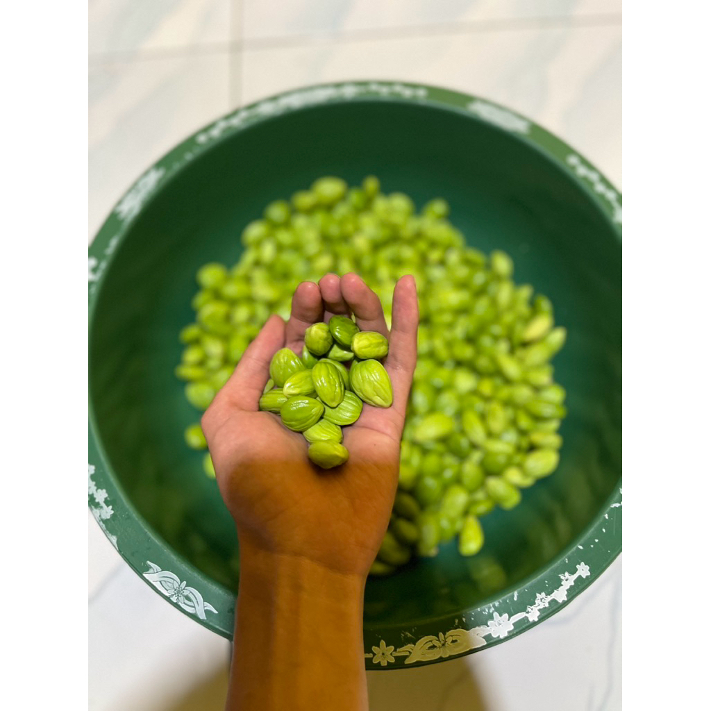 

Pete Kupas Segar 500 Gram / ½ Kg Fresh Siap Masak – Petai Mentah