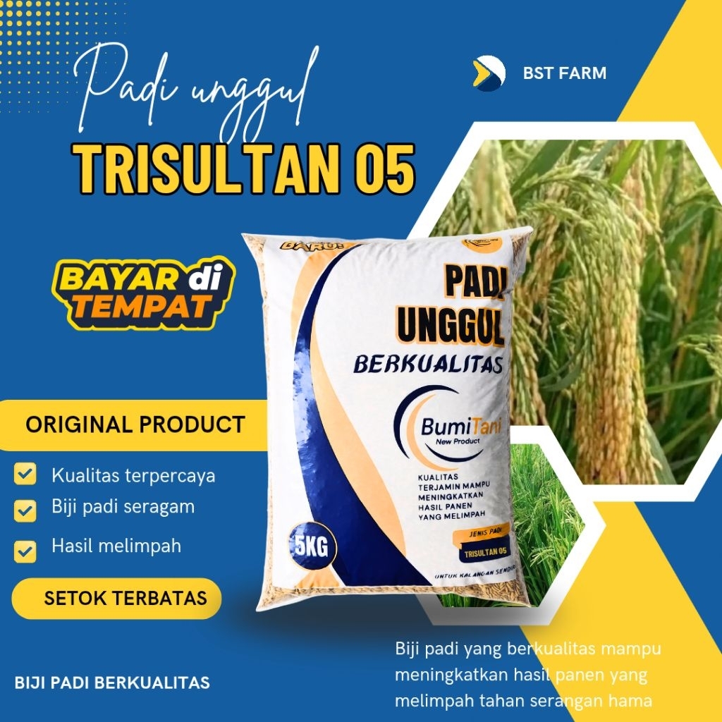 Benih Padi Unggul Tri Sultan 05 super lebat Kemasan 5 kg
