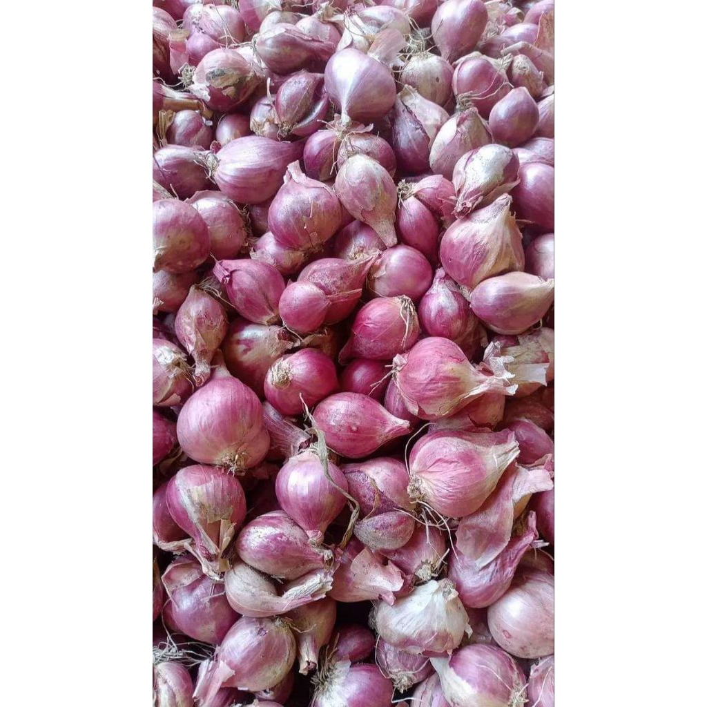 BAWANG MERAH 1 KG