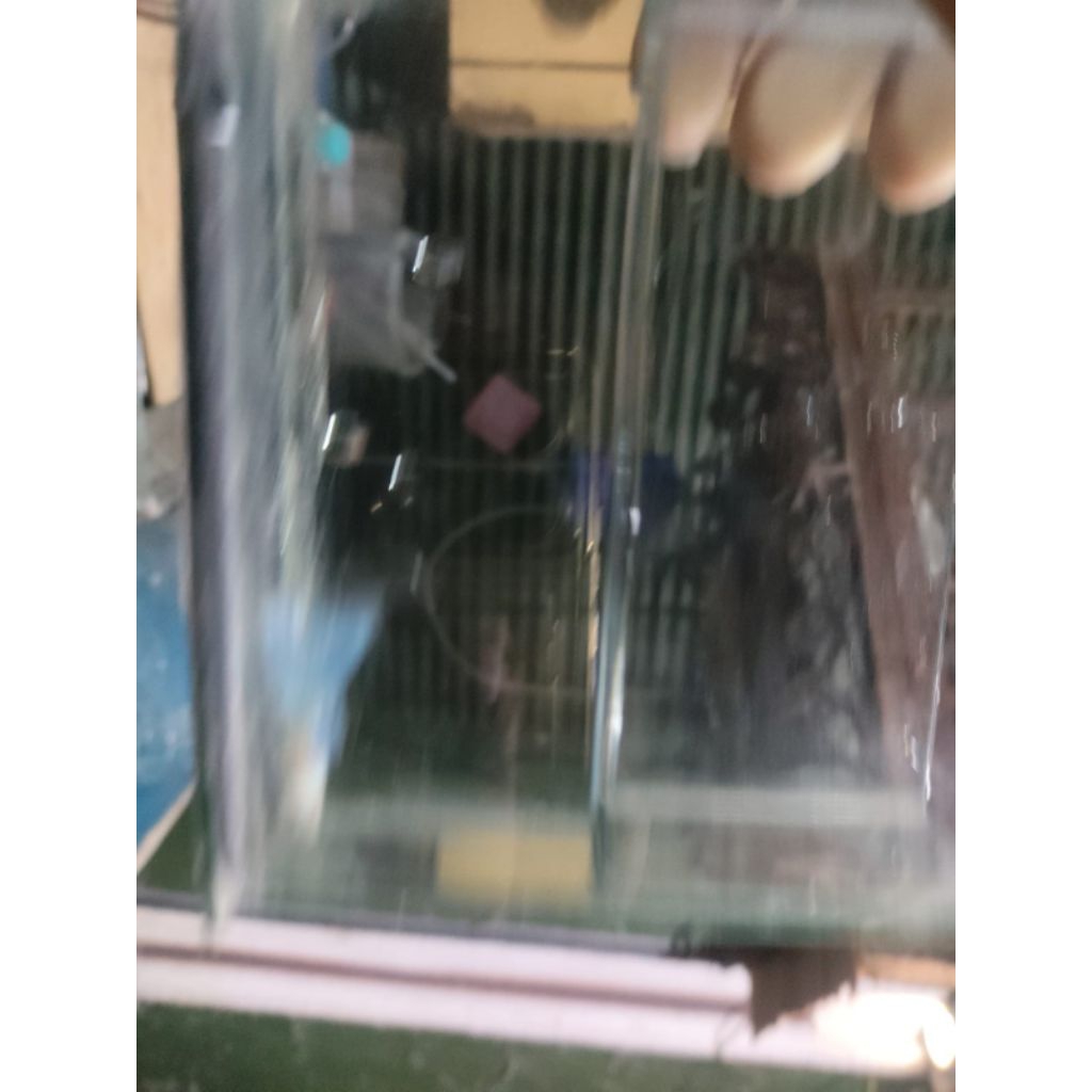 Sky blue asesoris guppy