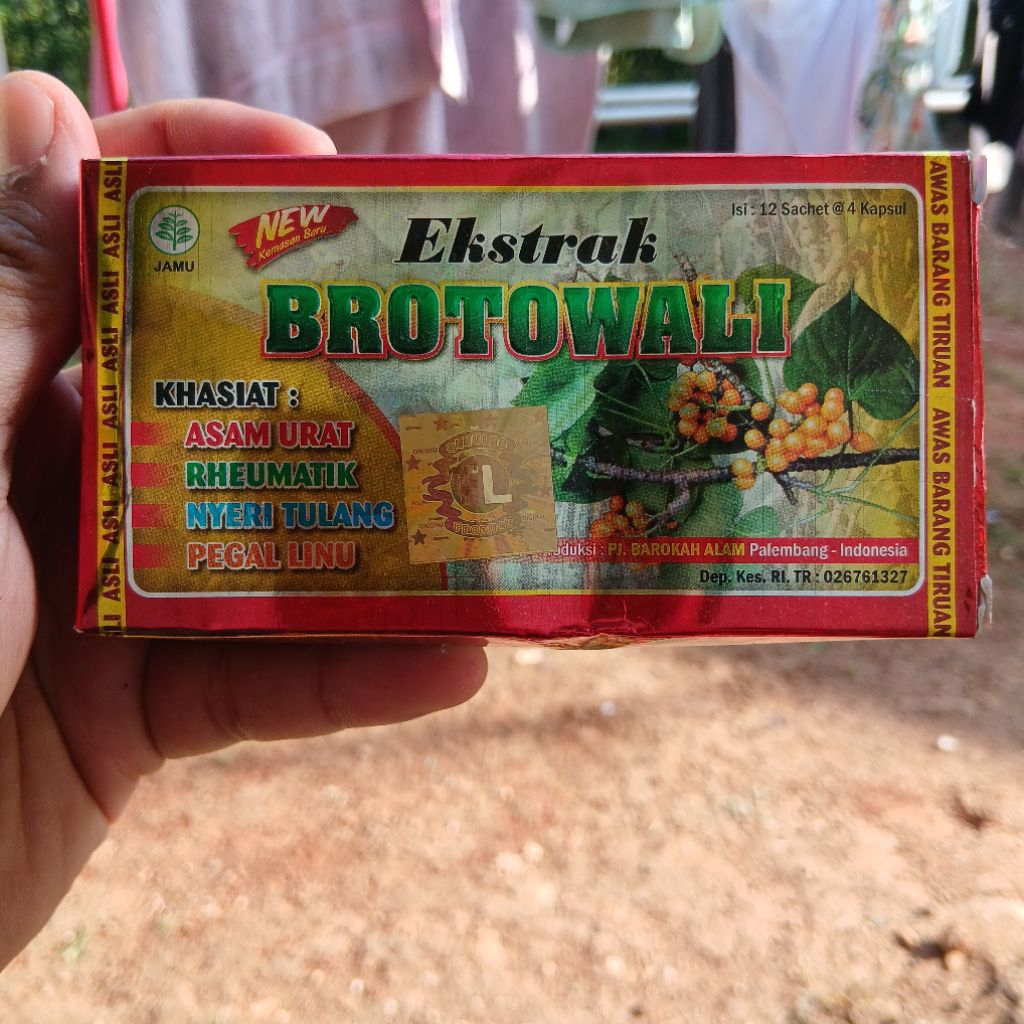 KAPSUL EKSTRAK BROTOWALI OBAT ASAM URAT PEGALINU RHEUMATIK FLU TULANG