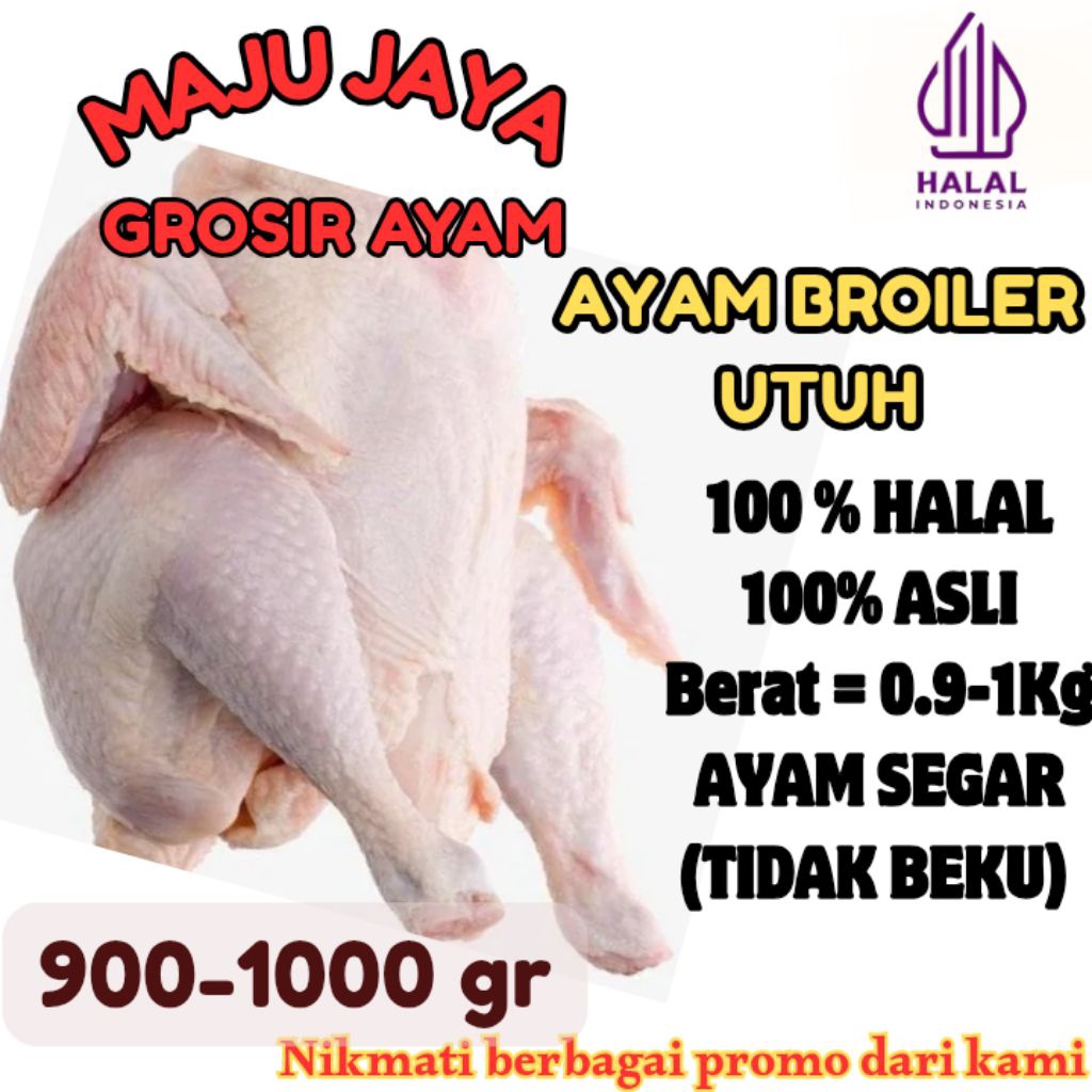 

AYAM UTUH 1 EKOR 0.9-1Kg (900-1000gr) AYAM NEGRI /AYAM BROILER / SEGAR / BERSIH / AYAM BROILER / AYAM NEGRI / AYAM BERKUALITAS /FRESH BERSIH / TIDAK BEKU / HALAL / AMAN DIKONSUMSI