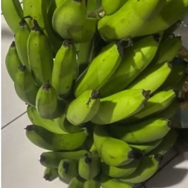 

Buah Pisang Mentah MNL 20 Pisang Bangkaulu