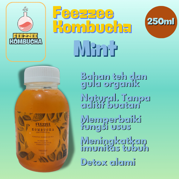 

Feezzee Kombucha Minuman Sehat Probiotik Kombucha 250ml Rasa Mint Bahan Organik