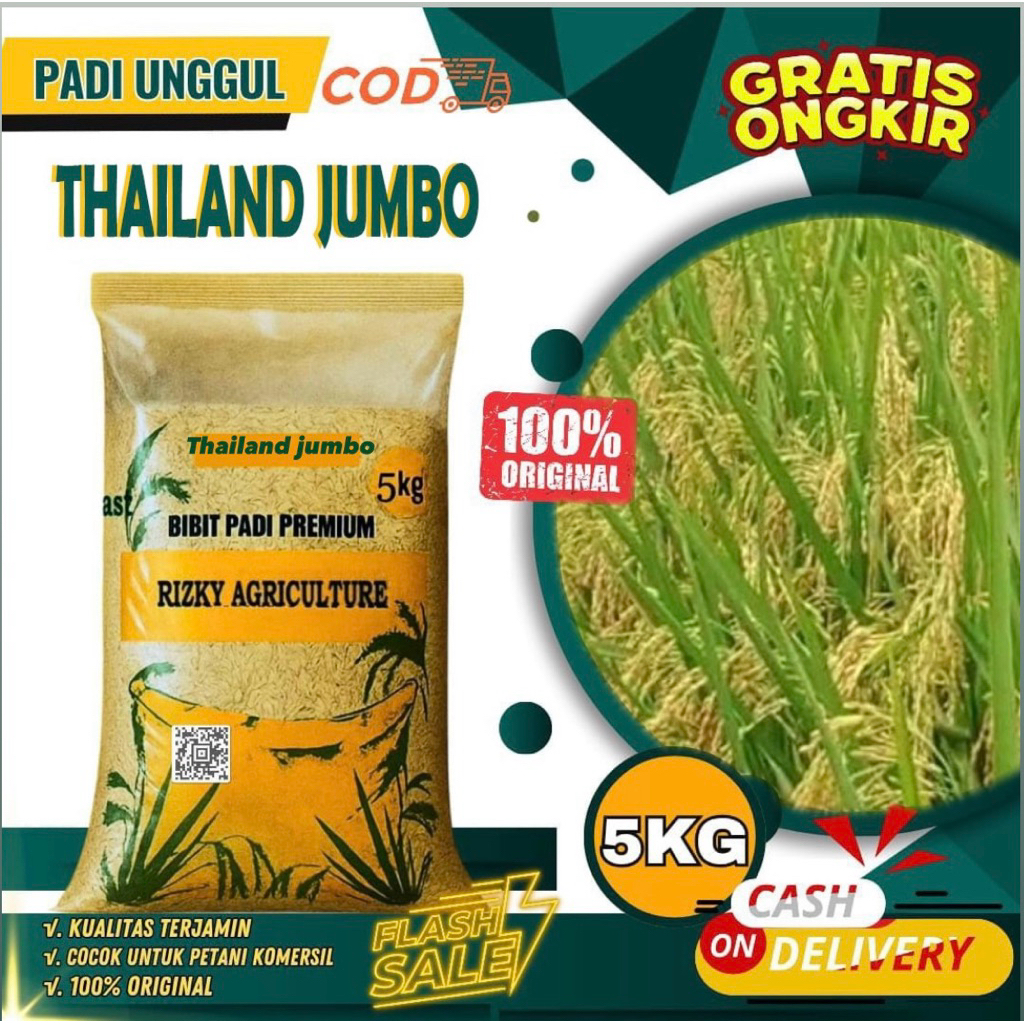 BENIH PADI BIBIT PADI THAILAND JUMBO KUAITAS UNGGUL KEMASAN 5 KG