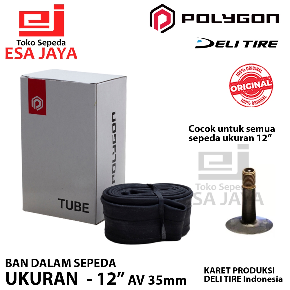 Ban Dalam Sepeda Anak 12 inch Universal 12" 1/2 x 2 1/4 AV 35mm – Polygon Deli Tire