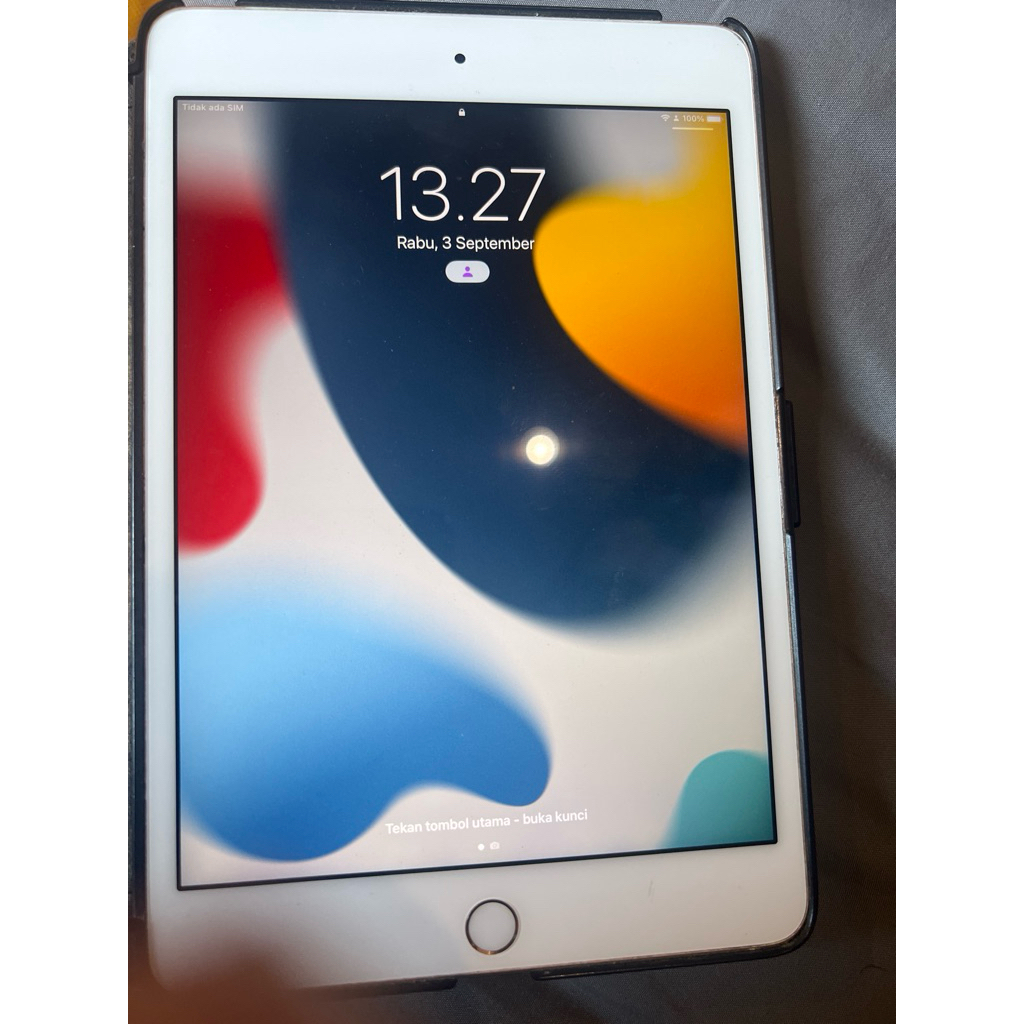 Ipad mini 4 cellular 128Gb