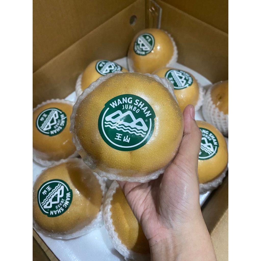 

PIR KOREA. PIR COKELAT. PIR COKLAT BULAT. PIR SINGO HOSUI. PIR PREMIUM