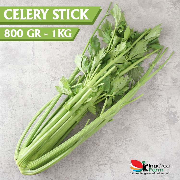 

Inagreen Farm Bandung Seledri Batang Besar / Celery Stick