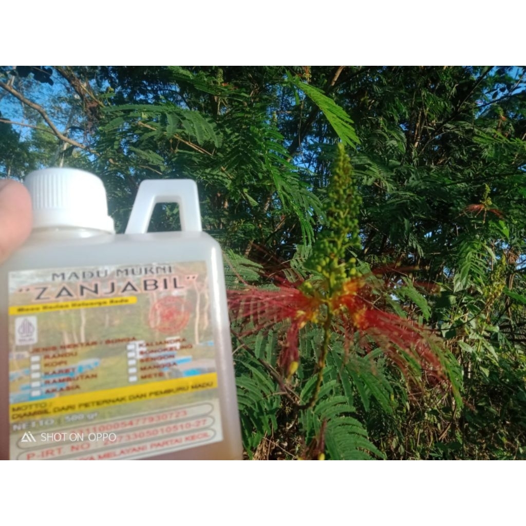 

Zanjabil Madu Murni | Raw Honey 500 gram Nektar Bunga Randu