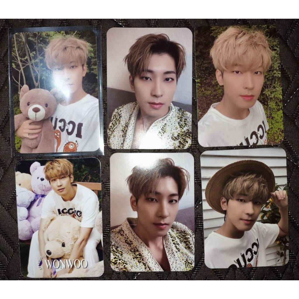 Dicon Set Wonwoo Beruang Bear