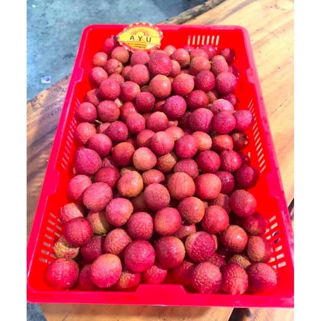 

leci pink madu netto 1000 gr