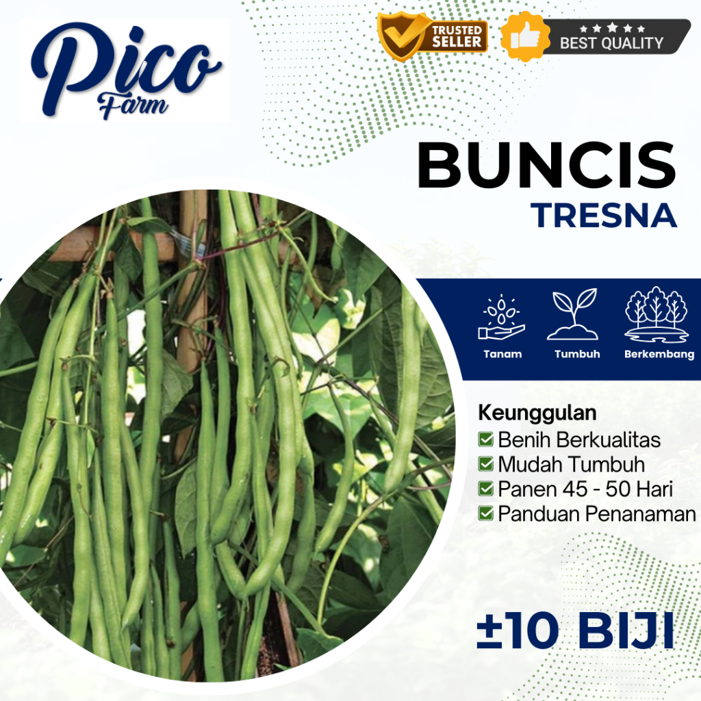 Picofarm 10 Biji - Benih Buncis unggul TRESNA