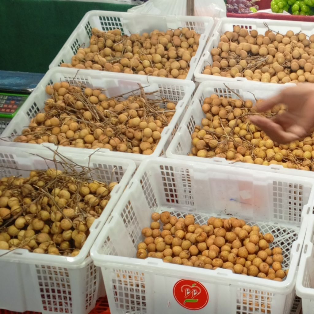 

lengkeng emas Bangkok