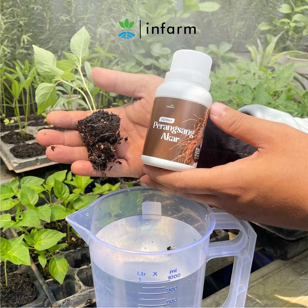 Tumbas Tani Infarm 125Ml Nutrisi Dan Perangsang Akar Tanaman Stek / Perangsang Akar