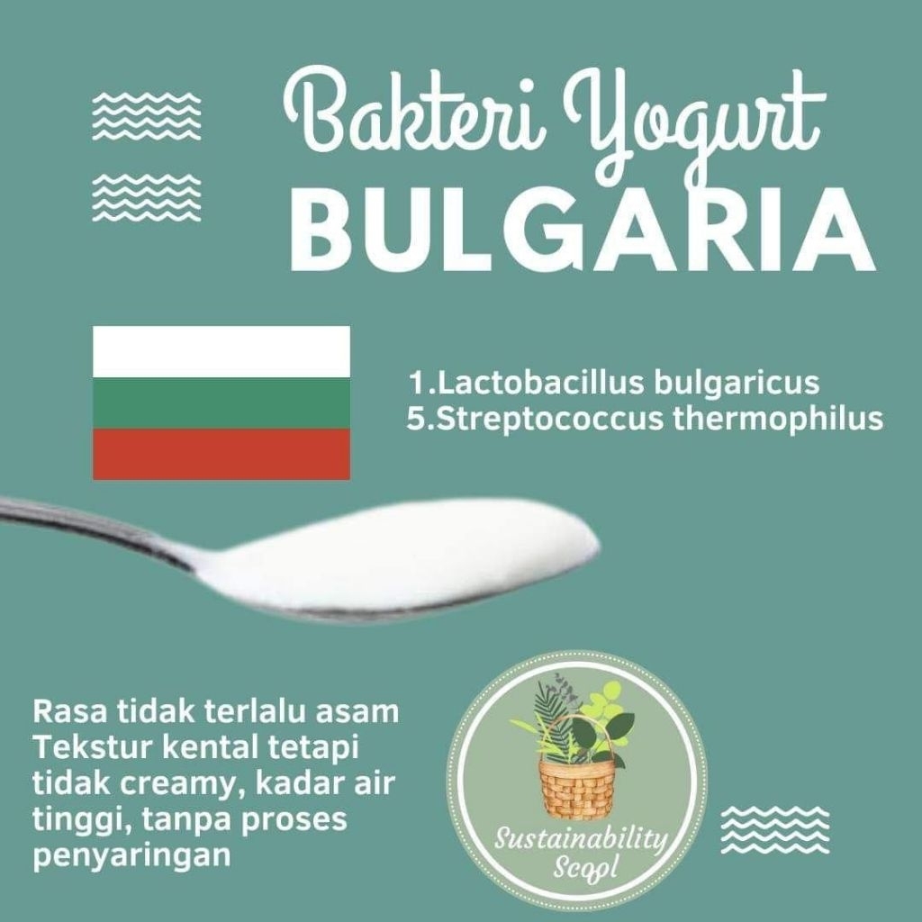 

paket yogurt motor bulgaria