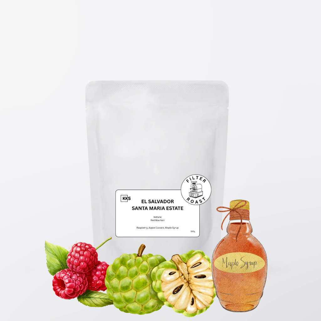 

Kopi Arabika El Salvador Finca Santa Maria - Single Origin Specialty Arabica Coffee