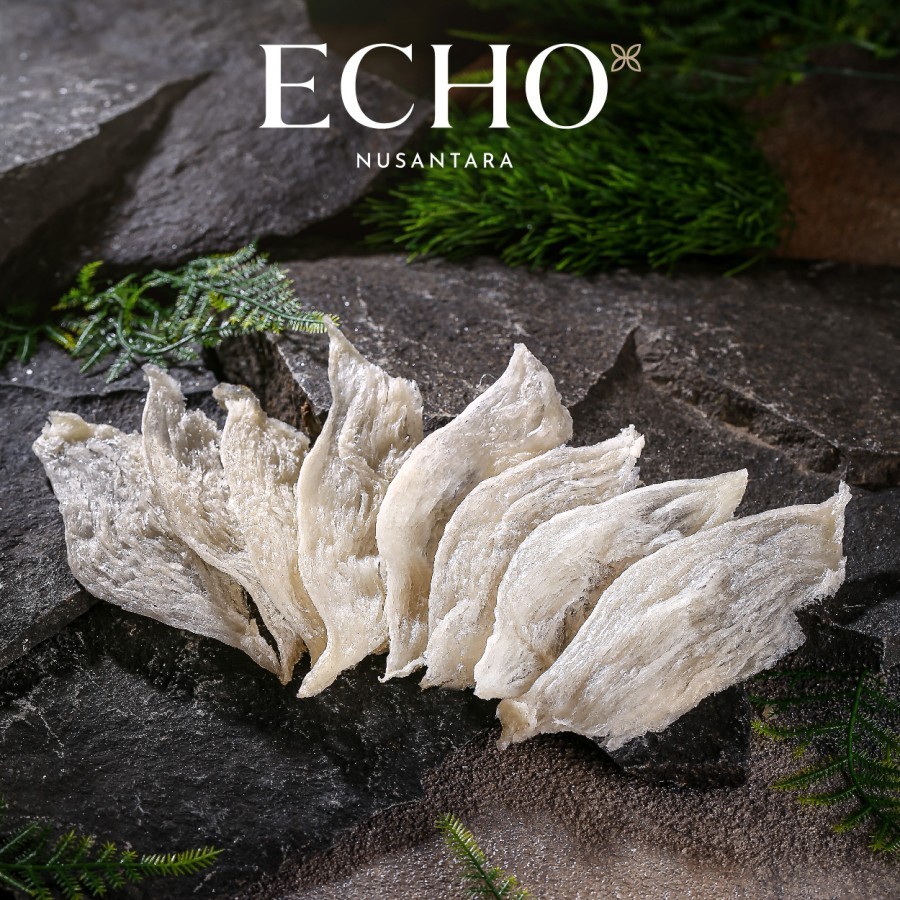 Sarang Burung Walet Kering - Birds Nest - Echo Nusantara 1 Kg