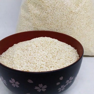 

RAW WHITE SESAME SEED 250gr - BIJI WIJEN PUTIH - WIJEN 250gr