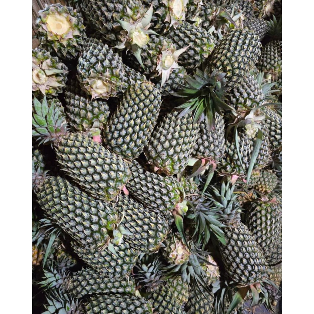 

nanas perbiji kurang lebih 500gr