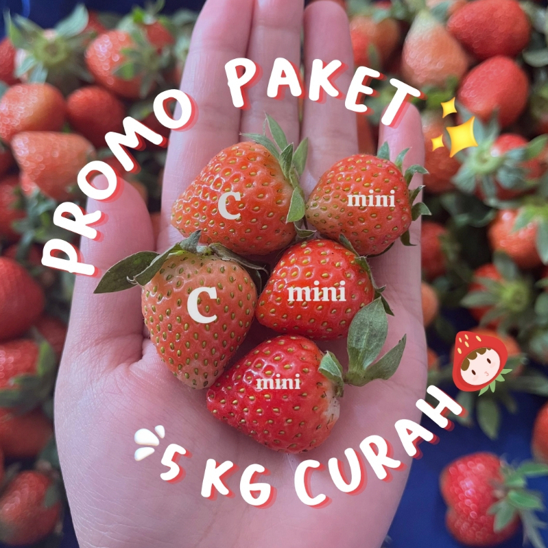 

Panensegar Strawberry Ciwidey - Mini Grade C [Paket 5 Kg]