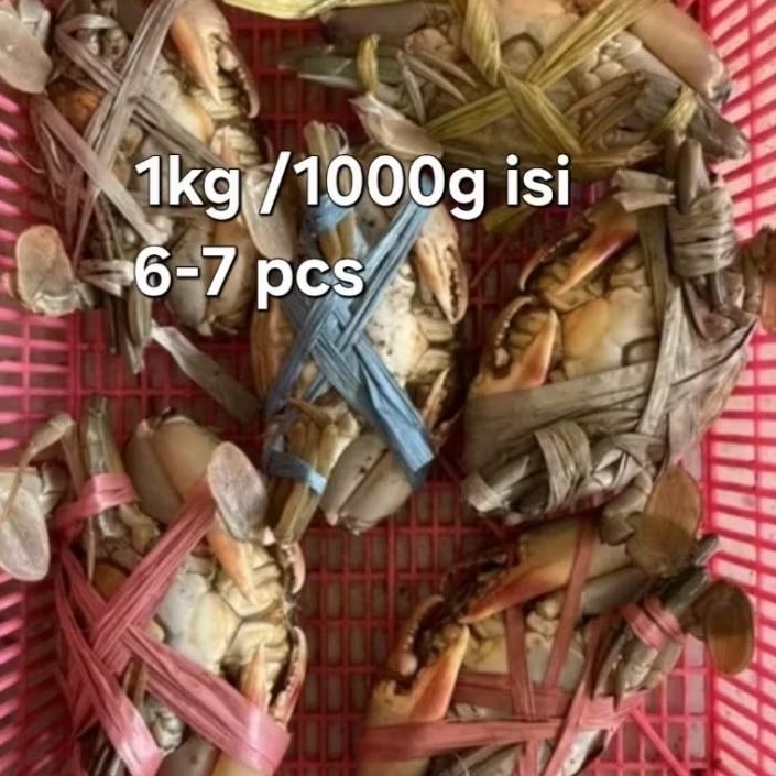 

Kepiting Bakau Segar 1Kg Isi 6-7 Ekor Daging Padat Fresh dari Tambak
