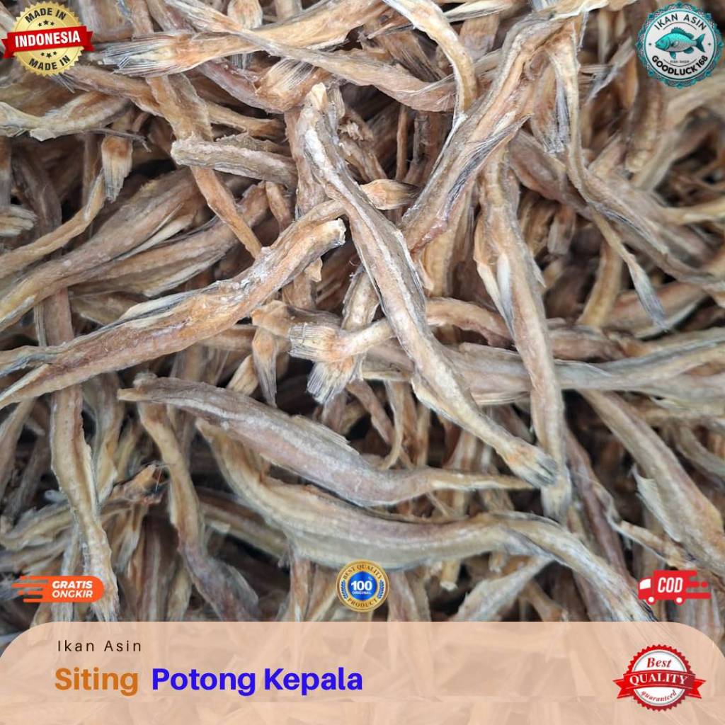 

Ikan Asin Siting Tiau Potong Kepala Full Kering 250gram, 500gram
