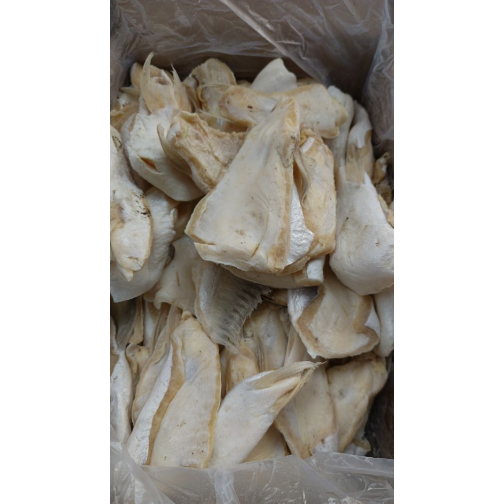 

ikan asin perut paten