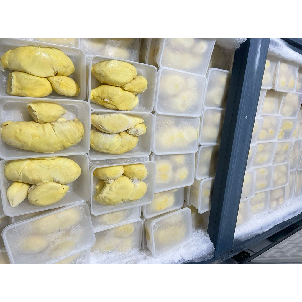 

Durian Montong Palu / duren montong palu / Durian Monthong